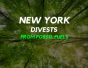 Socially Responsible Investing Gets Boost From NYS